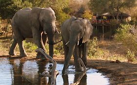 Willa Umlani Bushcamp Timbavati Game Reserve Exterior photo