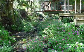 Treetops Montville Exterior photo