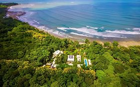 Blue Osa Beach Resort & Spa Puerto Jiménez Exterior photo