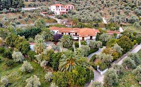 Villa Ble Skopelos Exterior photo