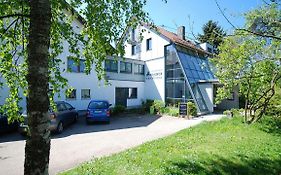 Hotel Gasthof Birkenhof Althutte Exterior photo