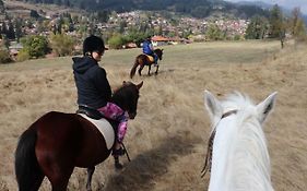 Dona Guest House - Horse Riding Kopriwsztica Exterior photo