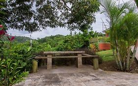 The Grand Sinopia Inn Portland Port Antonio Exterior photo