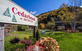 Cedarbrook Deluxe Two Bedroom Suite With Outdoor Heated Pool 21202 Killington Exterior photo