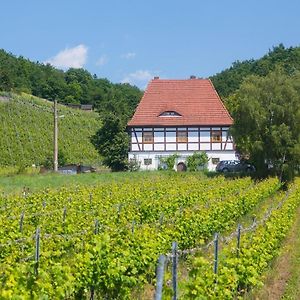 Hotel Alt Coswigerhof Coswig  Exterior photo