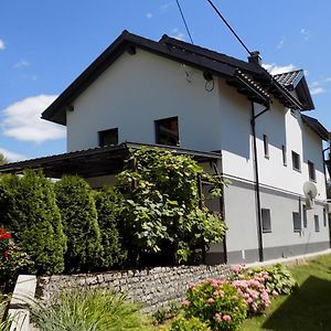 Apartment Pri Ruscu Tolmin Exterior photo