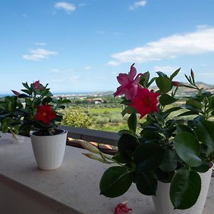 Bed and Breakfast A Casa Di Sofy Corropoli Exterior photo