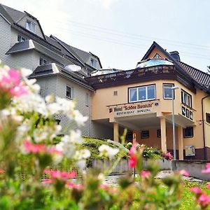 Hotel Schone Aussicht Steinach  Exterior photo