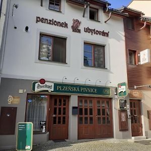 Hotel Ubytovani Nad Bisonem Hlinsko Exterior photo