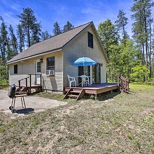 Willa Secluded Irons Cabin With 5-Acre Yard, Deck, Grill! Exterior photo