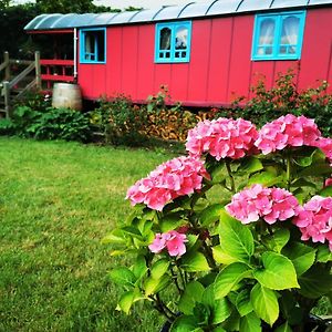 Bed and Breakfast La Maison Des Oiseaux. Roulotte Achicourt Exterior photo