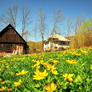 Apartament Agropensiunea Tarina Rosia Montana Exterior photo