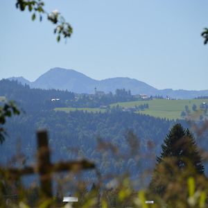 Apartament Alex Bergblick Scheidegg Exterior photo