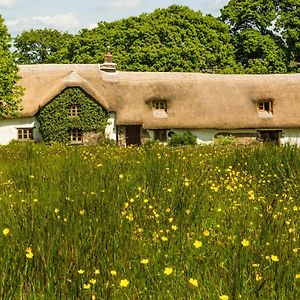 Bed and Breakfast Hay Meadow Farm Beaworthy Exterior photo