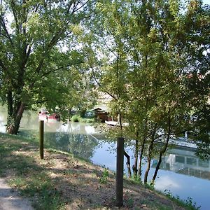 Bed And Room Al Fiume Piovego Padwa Exterior photo