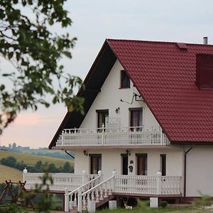 Bed and Breakfast Grand Panorama Wisniowa  Exterior photo