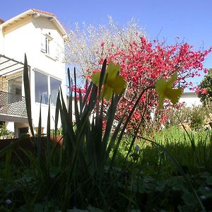 Bed and Breakfast L'Agapanthe Conques-sur-Orbiel Exterior photo