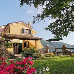 Bed and Breakfast Elsa House Mezzanego Exterior photo