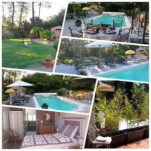 Bed and Breakfast Le Jardin Des Selves Draguignan Exterior photo