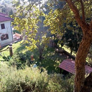 Bed and Breakfast Chalet Reventino Lamezia Terme Exterior photo