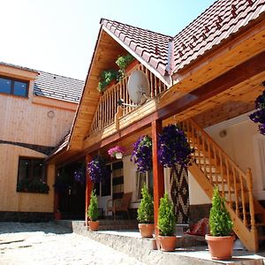 Bed and Breakfast Pensiunea Iulia Rod Exterior photo