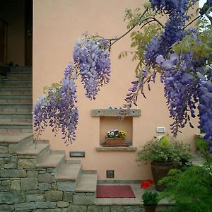 Bed and Breakfast Il Glicine San Dorligo della Valle Exterior photo