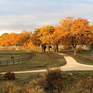 Bed and Breakfast Haras Du Vignault Le Bucher Salbris Exterior photo