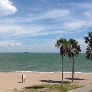 Aparthotel Spectacular Beach View! Corpus Christi Exterior photo