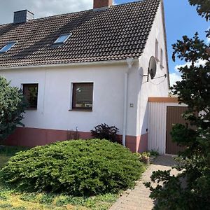 Willa Gemuetliches Ferienhaus Mit Garten Oranienbaum-Woerlitz Exterior photo