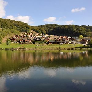 Willa Eifel & See - Ferienhaeuser Am Waldsee Rieden/Eifel Rieden  Exterior photo