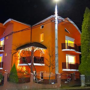 Hotel Casa Iulian Cavnic Exterior photo
