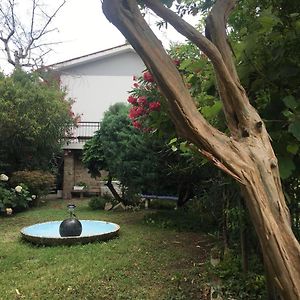 Bed and Breakfast Alla Rotonda Dai Santi Rovigo Exterior photo