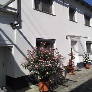 Apartament Ferienhaus Fam. Bisgen Niederkirchen bei Deidesheim Exterior photo