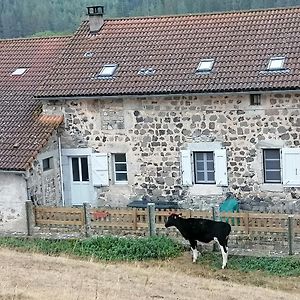 Apartament Gite A La Ferme Le Malzieu-Ville Exterior photo