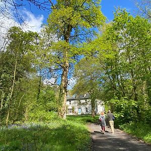 Pensjonat Blackhill Woods Retreat Abbeyleix Exterior photo