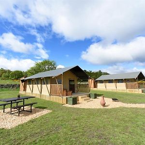 Willa Carr'S Hill Luxury Safari Tents Denny Room photo