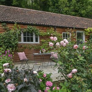 Barn Owl Cottage Salisbury Exterior photo