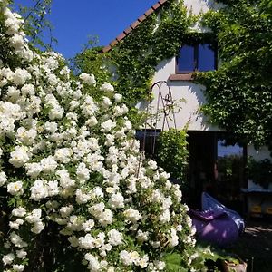 Bed and Breakfast Chambre D'Hotes De Charme, Un Temps En Foret Westhouse Exterior photo