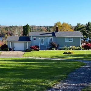 Bed and Breakfast Flower Beds & Breakfast Mira Exterior photo