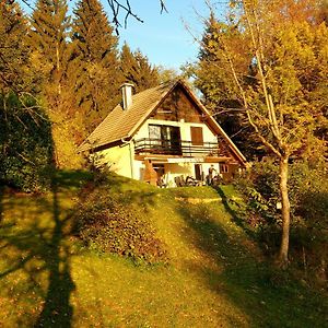 Willa Alpinejka House Tržič Exterior photo