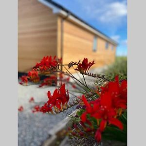 Willa The Gallafield, Self Catering Bungalow , Stornoway Stornoway  Exterior photo