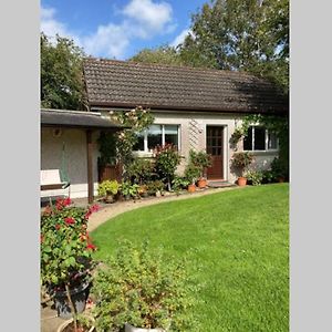 Apartament Mews With Garden Views Carlow Exterior photo