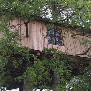 Willa Treehouse Magpies Nest With Bubble Pool Avesta Exterior photo
