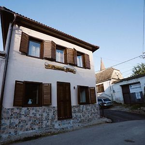 Hotel Pensiunea Tudor Carpinis  Exterior photo