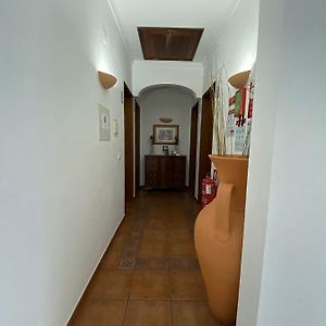 Hotel Quartos De Vidigueira Exterior photo