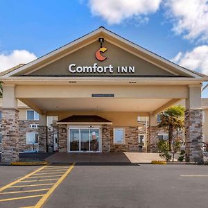 Comfort Inn Roseburg Exterior photo