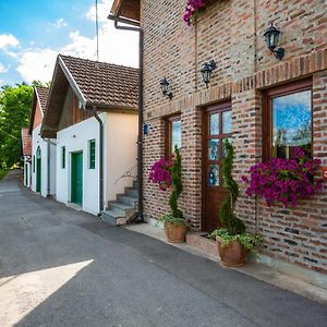 Pensjonat Podrumi Kolar "Suza Baranje" Kneževi Vinogradi Exterior photo