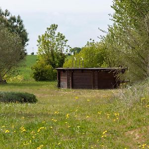 Willa La Decouverte, Jacuzzi, Sauna, Et Terrasse Avec Vue Sur Lac A La Campagne Entre Toulouse Et Auch Catonvielle Exterior photo