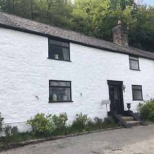 Willa Historic 17Th Century Farmhouse In Wales Gwernymynydd Exterior photo