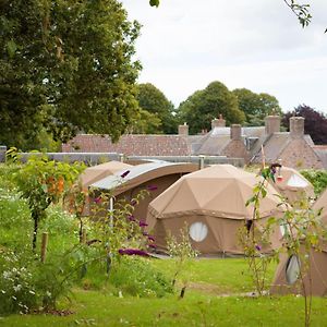 Hotel Durrell Wildlife Camp Trinity Exterior photo